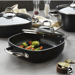 Schafer Gastronomıe Granit Basık Tencere 24 cm