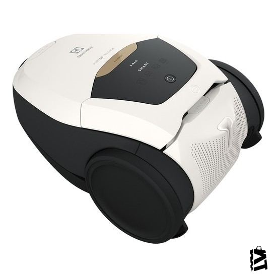 Electrolux PURED8 PD82-ALRGT Toz Torbalı