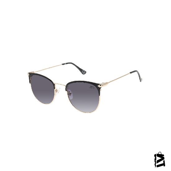 6570.C1 
Bayan 
Güneş