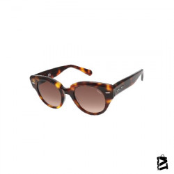 6788.C2 
Bayan 
Güneş Gözlüğü