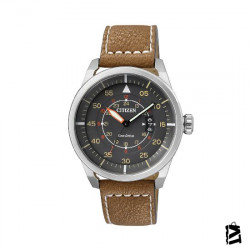 AW1360-12H 
Erkek 
Kol Saati