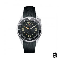 AW1710-12E 
Erkek 
Kol Saati