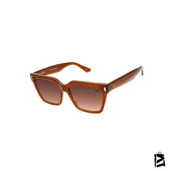 B1130.C3 
Bayan 
Güneş