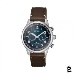 CA4420-13L 
Erkek 
Kol Saati