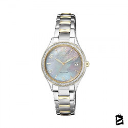 EO1184-81D 
Erkek 
Kol Saati