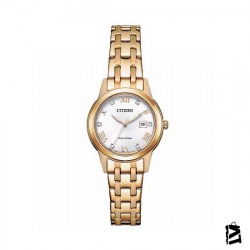 FE1243-83A 
Bayan 
Kol Saati