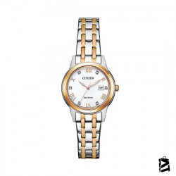 FE1246-85A 
Bayan 
Kol Saati