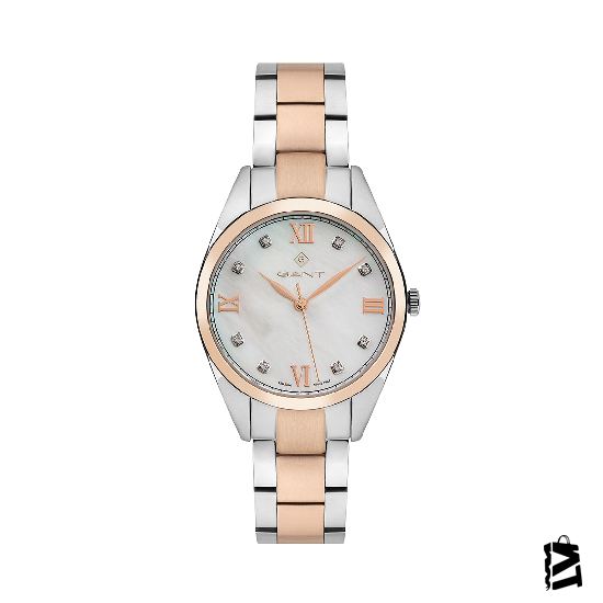 GT075003Y 
Bayan 
Kol Saati-Elden Taksitli