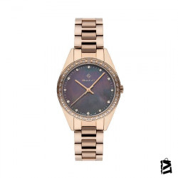 GT077001Y 
Bayan 
Kol Saati