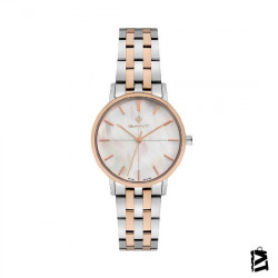 GT078003Y 
Bayan 
Kol Saati