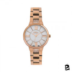 LC06477.420 
Bayan 
Kol Saati