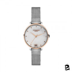 LC07039.520 
Bayan 
Kol Saati