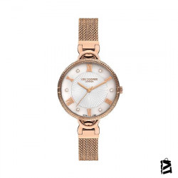 LC07241.420 
Bayan 
Kol Saati