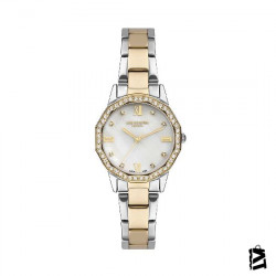 LC07413.220 
Bayan 
Kol Saati