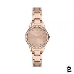 LC07413.410 
Bayan 
Kol Saati