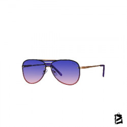 LC1068.C4 
Unisex 
Güneş Gözlüğü