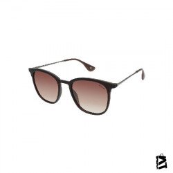 LC1294.C4 
Unisex 
Güneş Gözlüğü