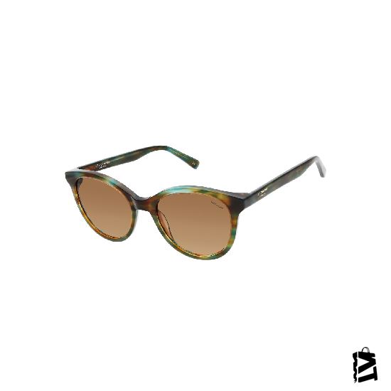 LC1463.C3 
Bayan 
Güneş