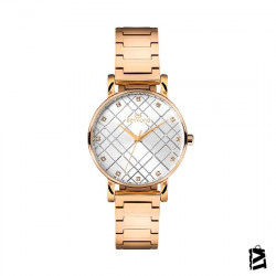 SRL953.430 
Bayan 
Kol Saati