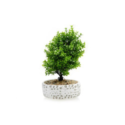 Biev 30x14 Cm.Beyaz Dekoratif Çakıl Ağaç-Bje001