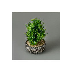 Biev 30x14 Cm.Siyah Dekoratif Çakıl Ağaç-Bje002
