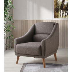 Vize Karen Tekli Berjer