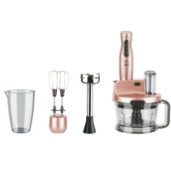 Fakir Mr Chef Quadro Rose Blender Mikser Robot Seti