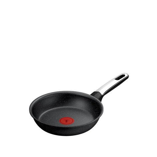 Tefal Expertise 20 Cm.Tava-2100139056