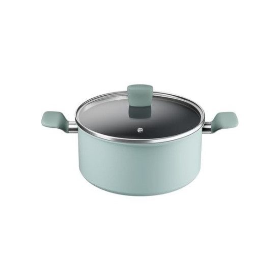 Tefal Okaliptus 24 Cm.Derin Tencere-2100143071